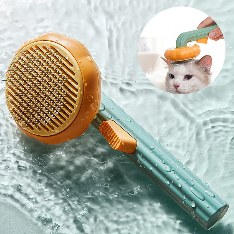 MrKitty - MiezKamm